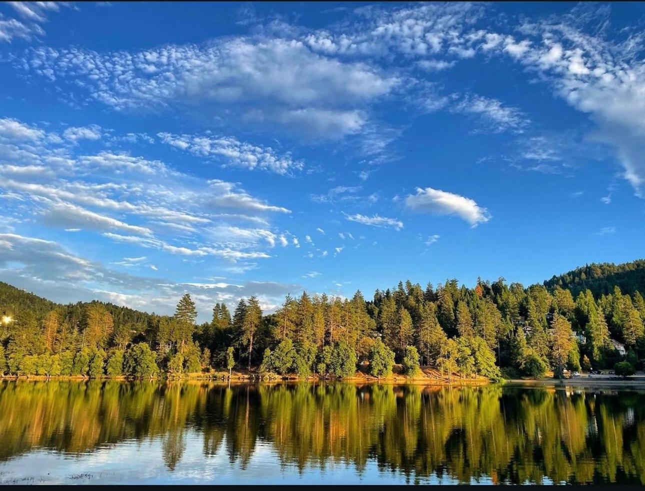 Bluebird Crestline